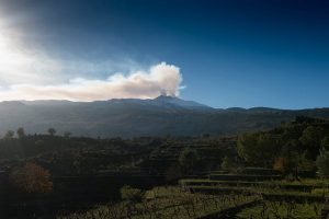 GALLERY_Tenuta di Vajasindi - Etna 7